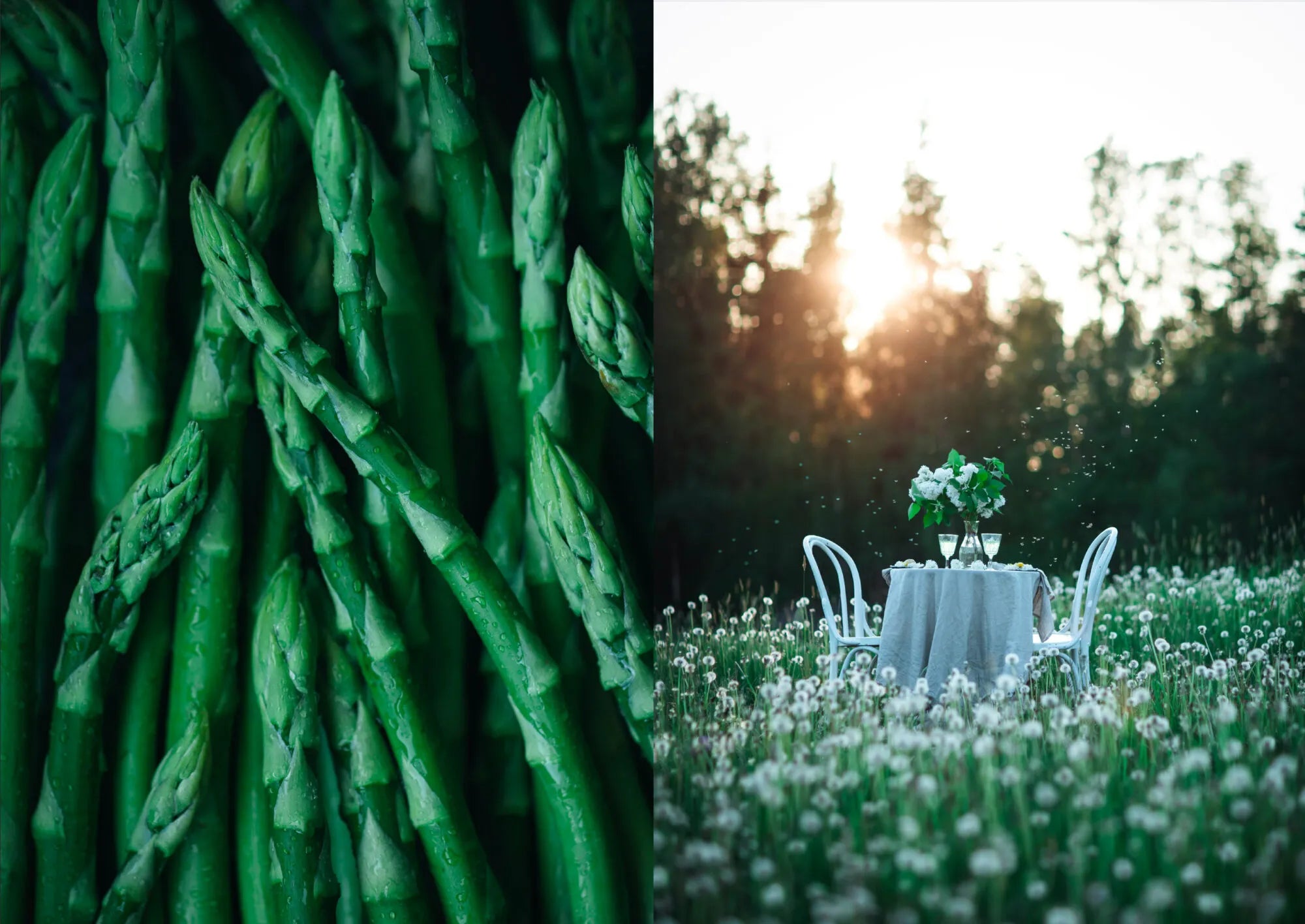 Buch - The Art of Fun Dining