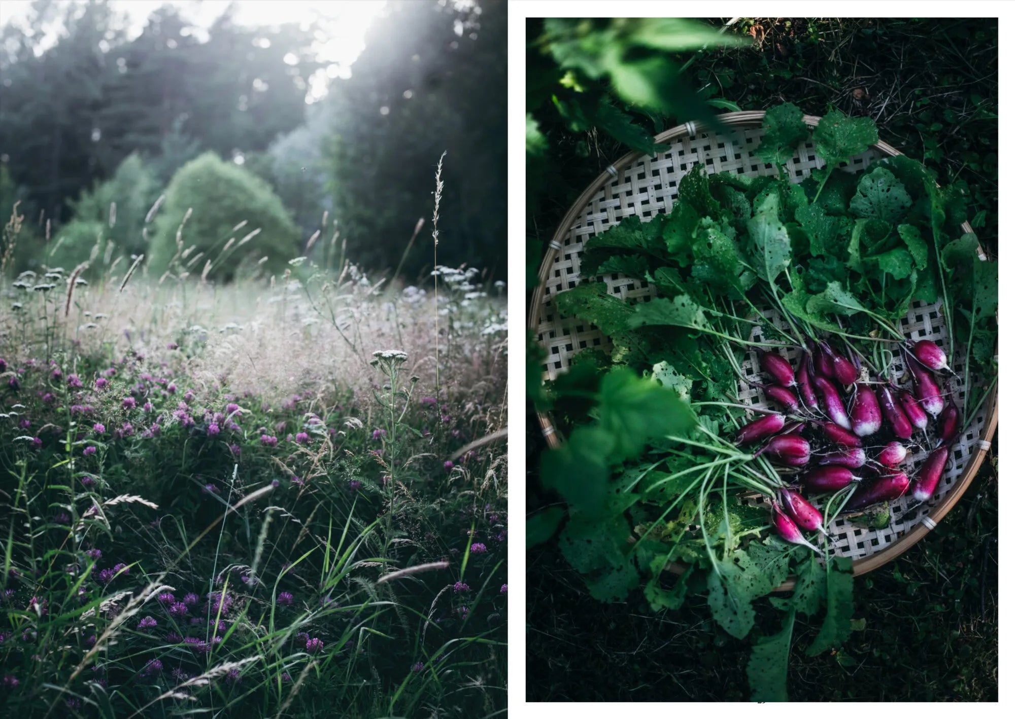 Buch - Nordic Summer Cookbook
