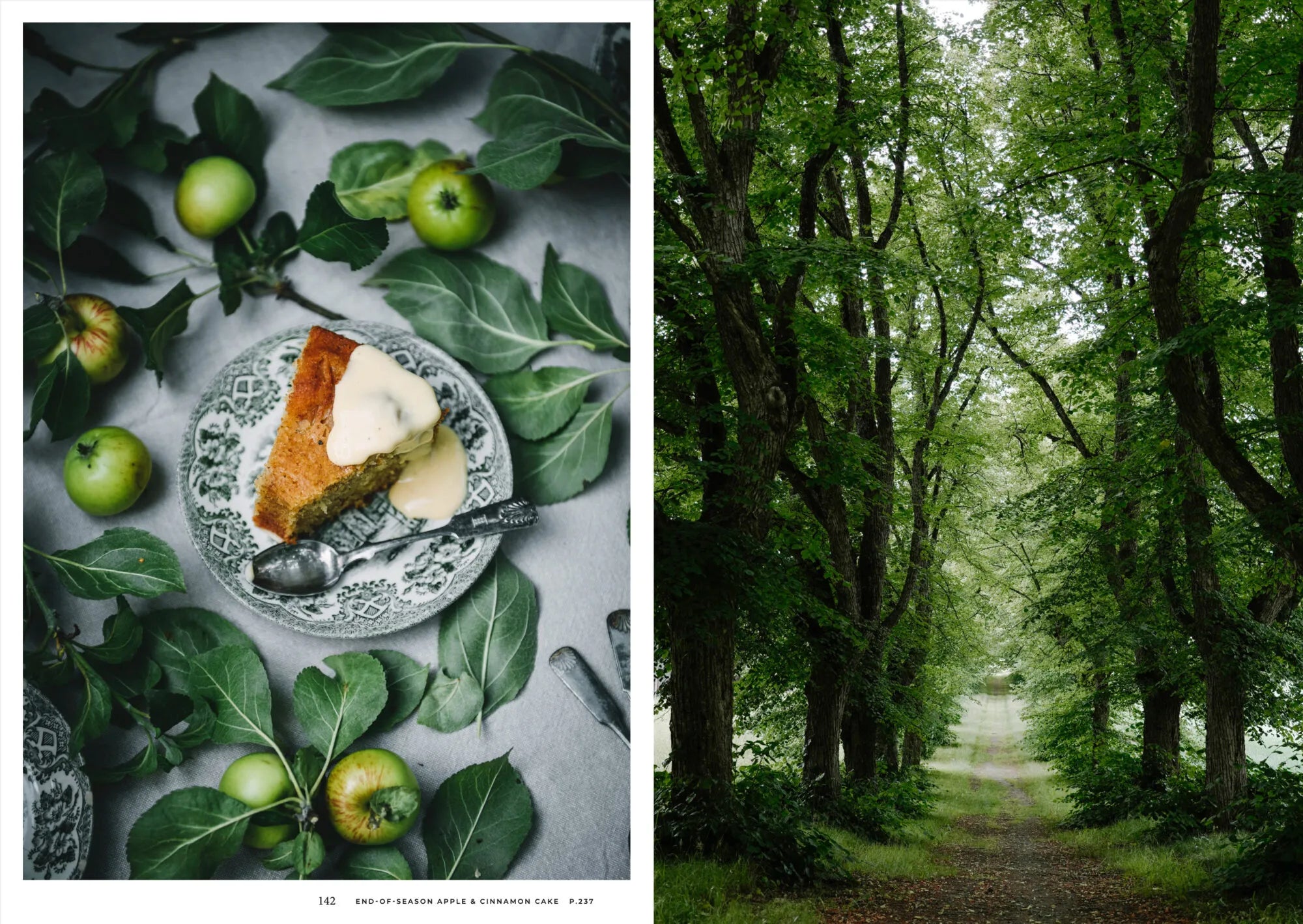 Buch - Nordic Summer Cookbook