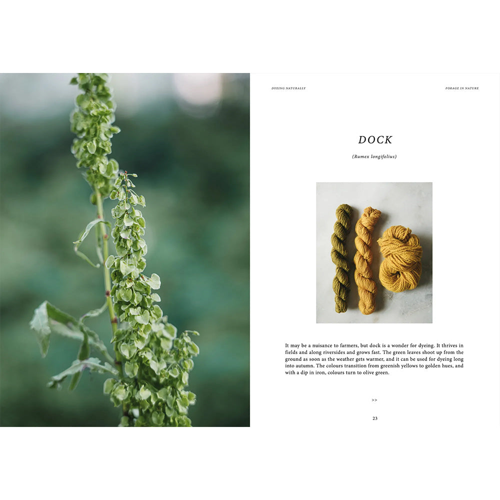 Buch - Dyeing Naturally