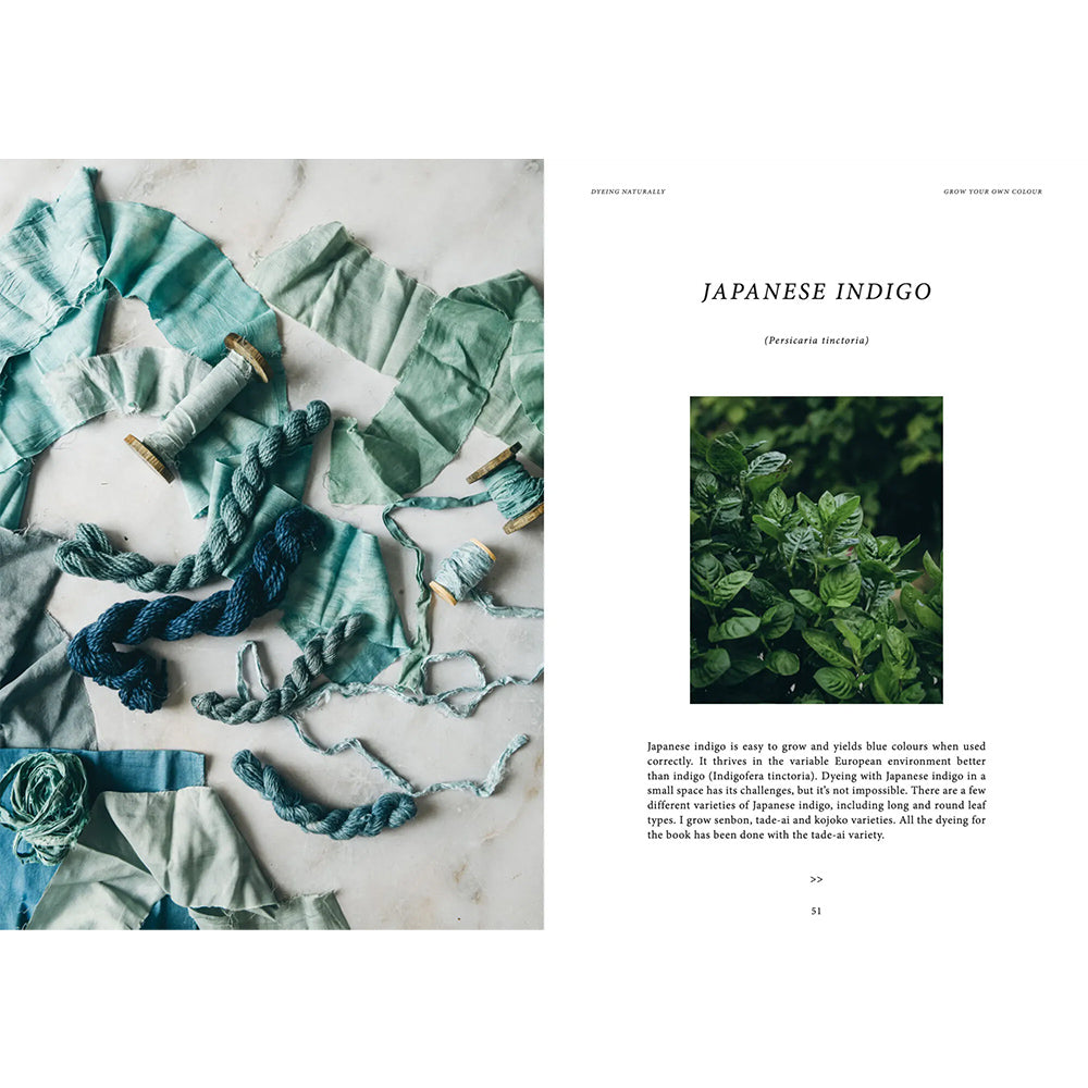 Buch - Dyeing Naturally