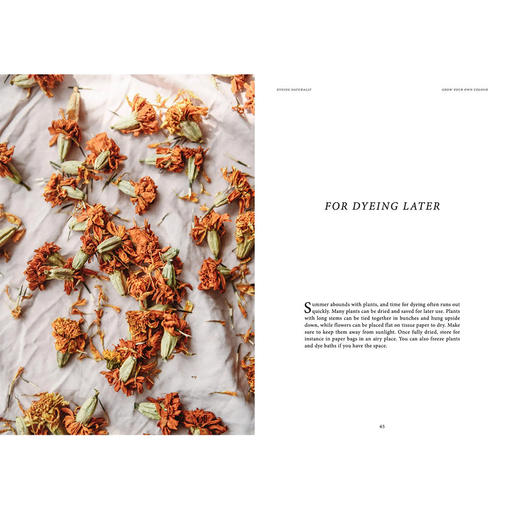 Buch - Dyeing Naturally