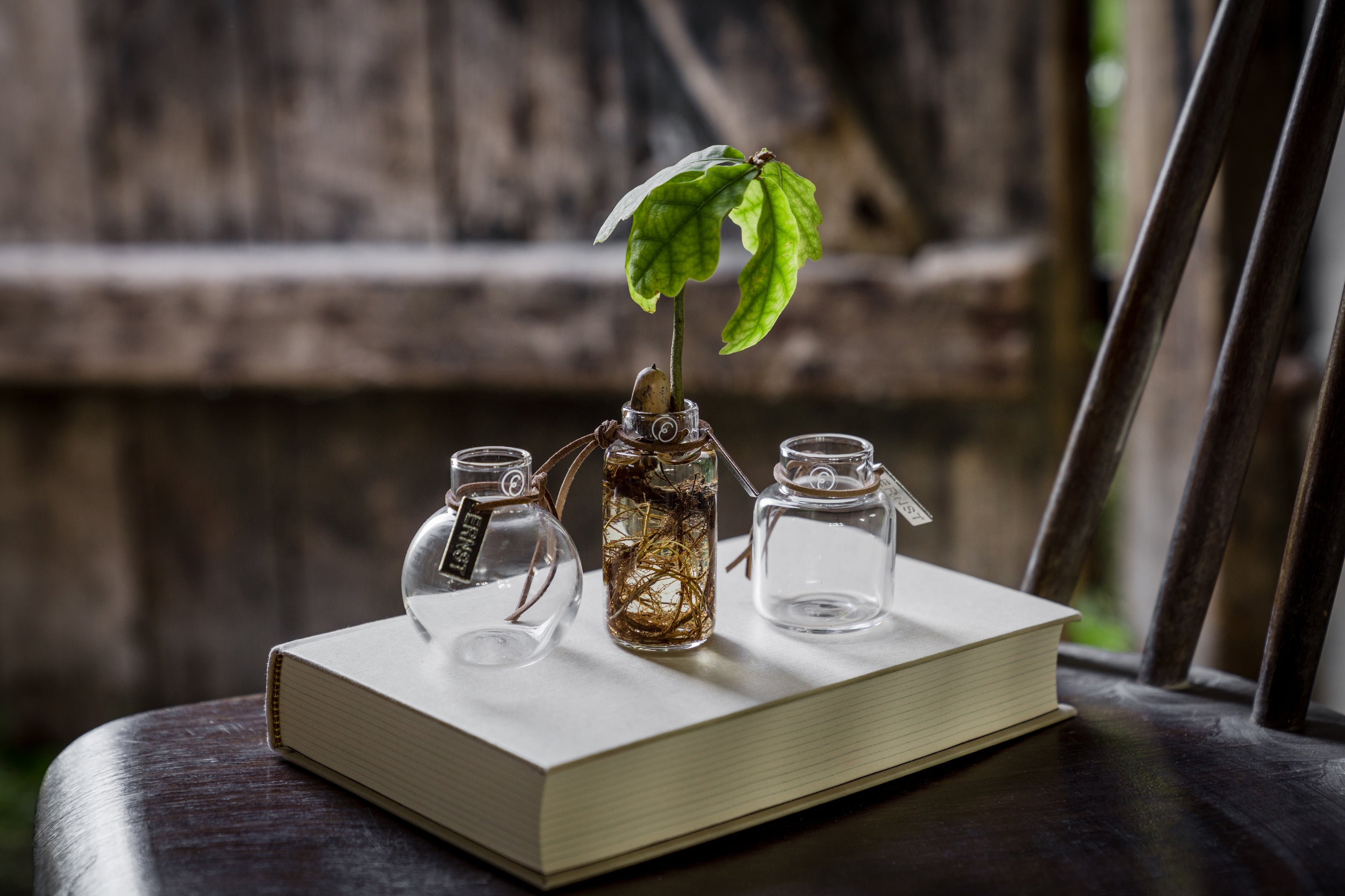 Mini Glasvasen - 3er Set