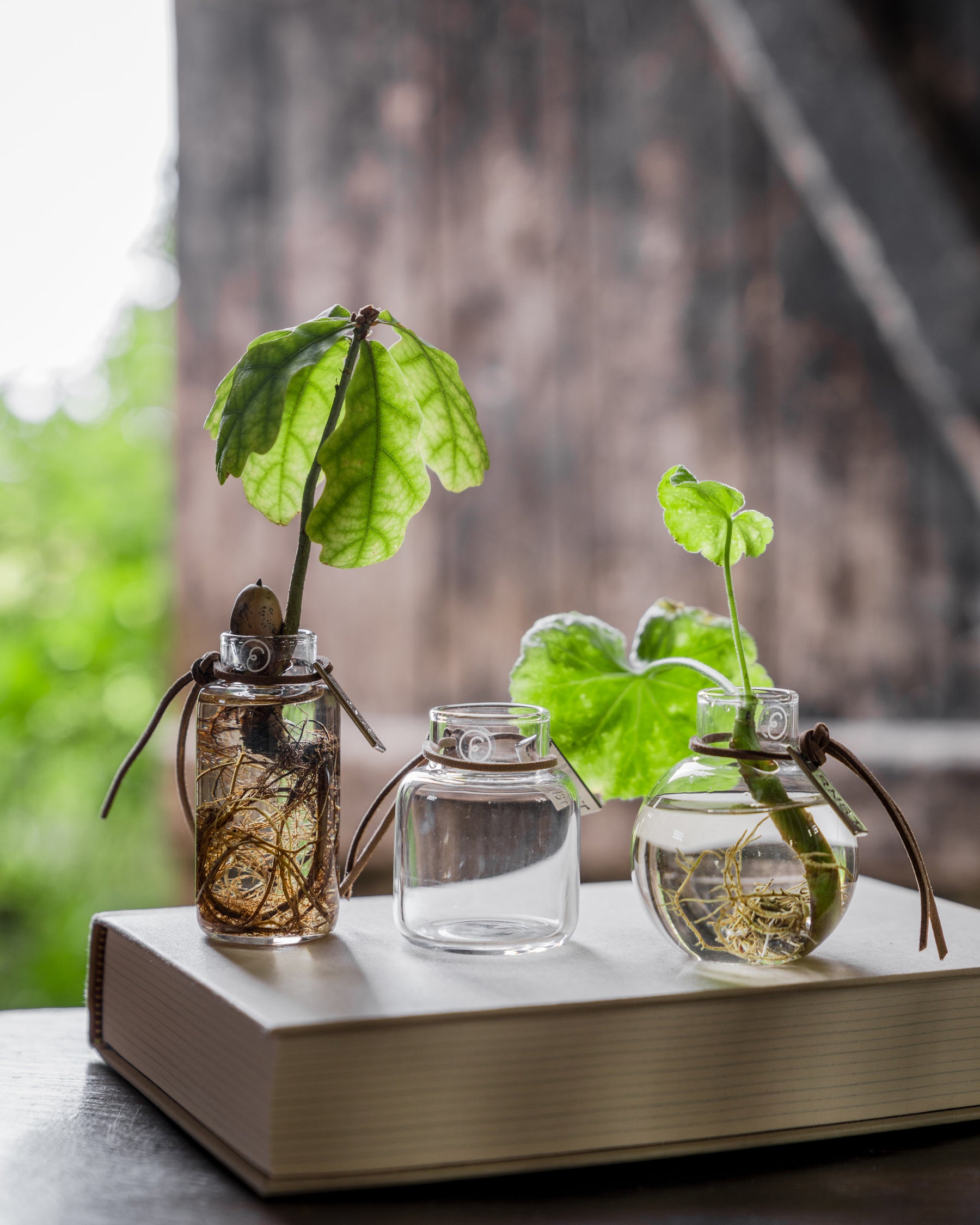 Mini Glasvasen - 3er Set