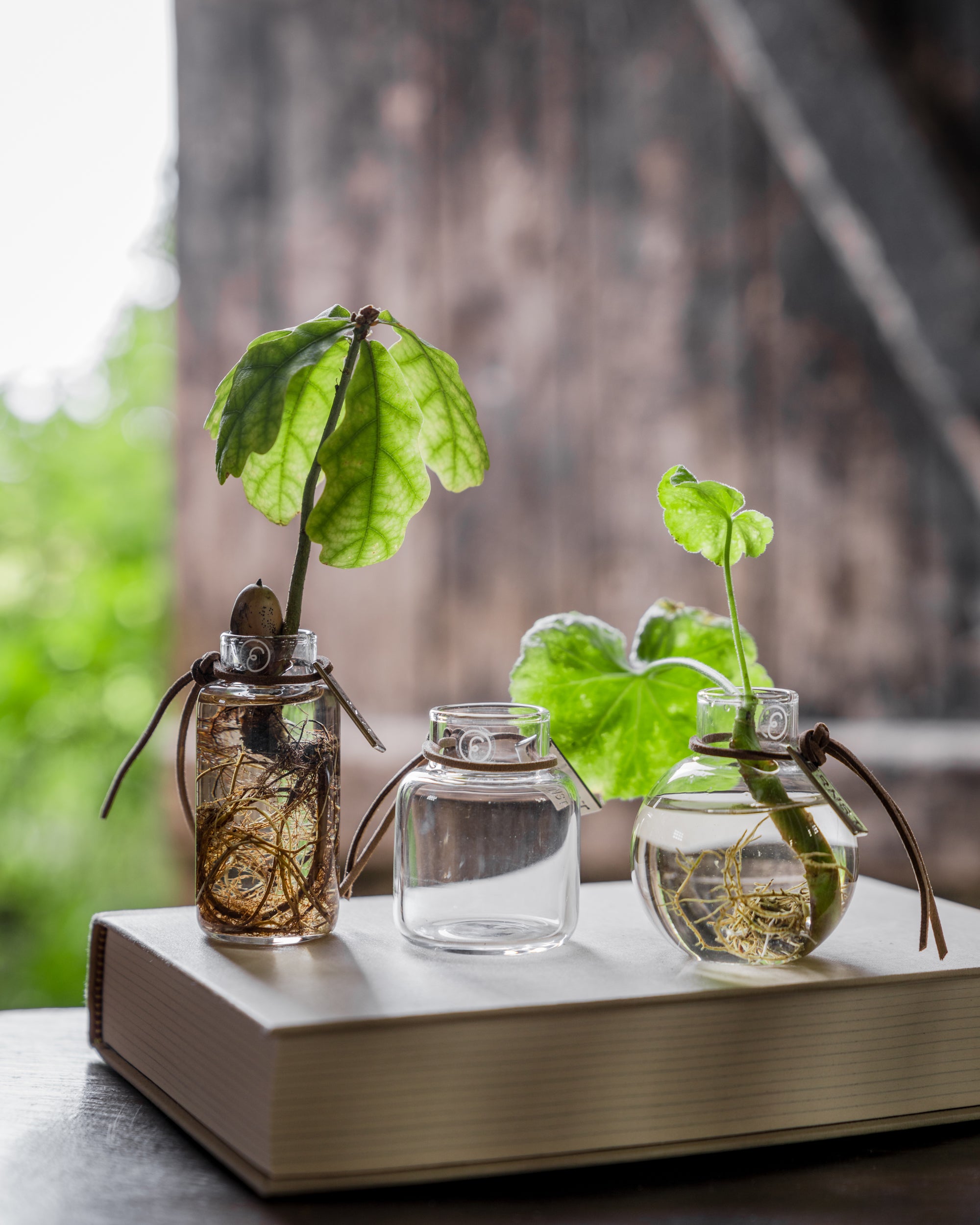 Mini Glasvasen - 3er Set