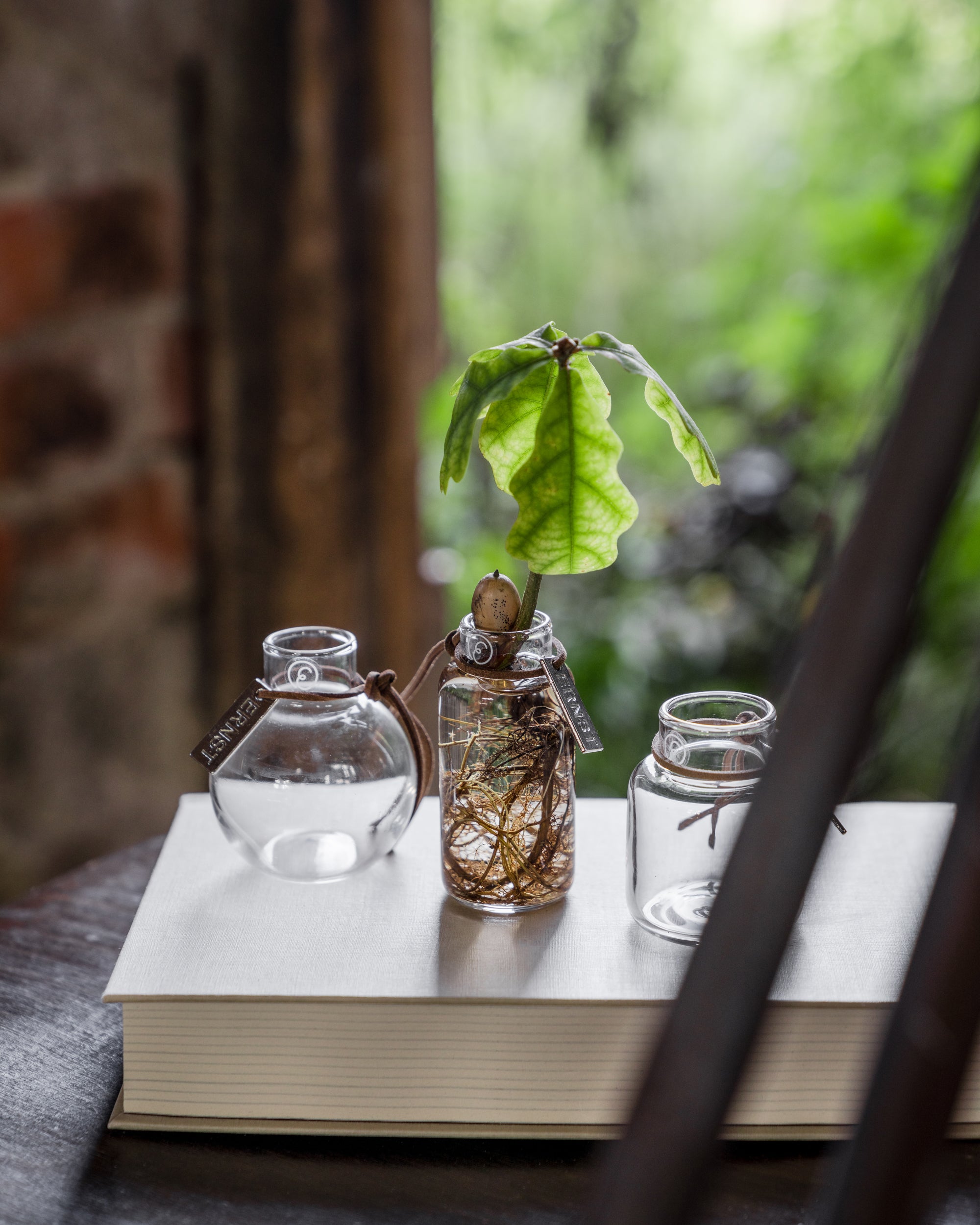 Mini Glasvasen - 3er Set