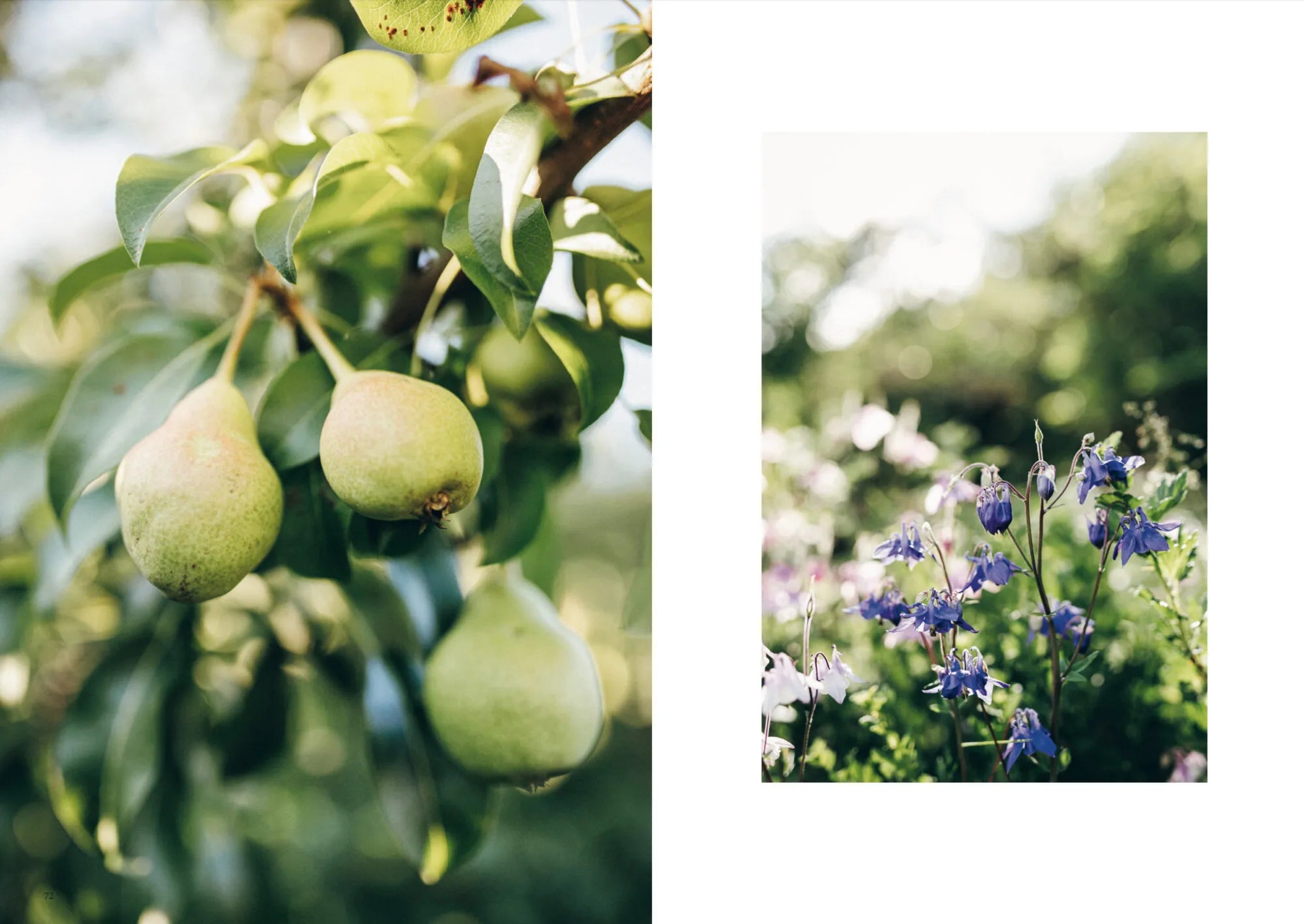 Buch - Knits from Our Gardens