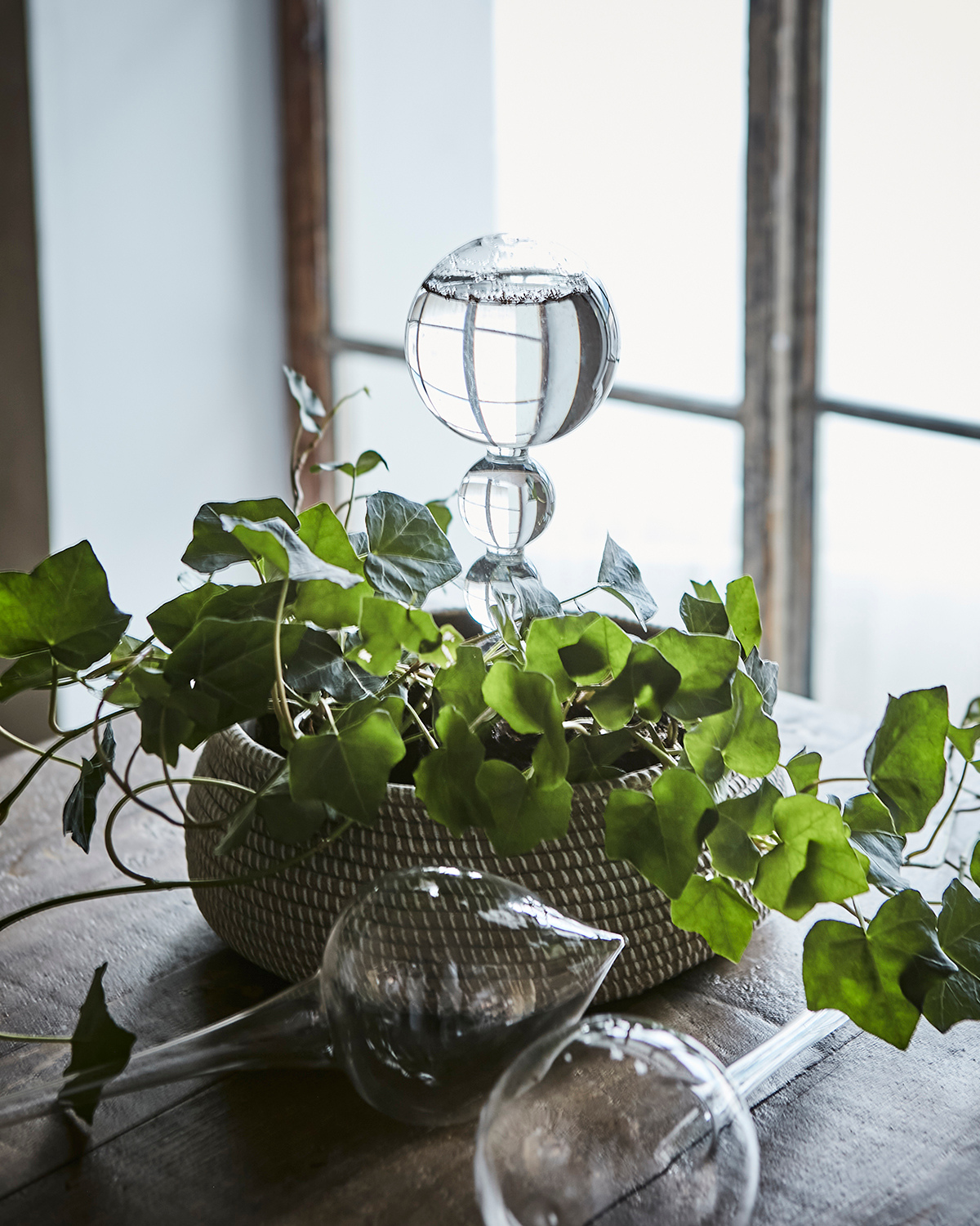 Bewässerungsglas Olivia - Ø 8 cm