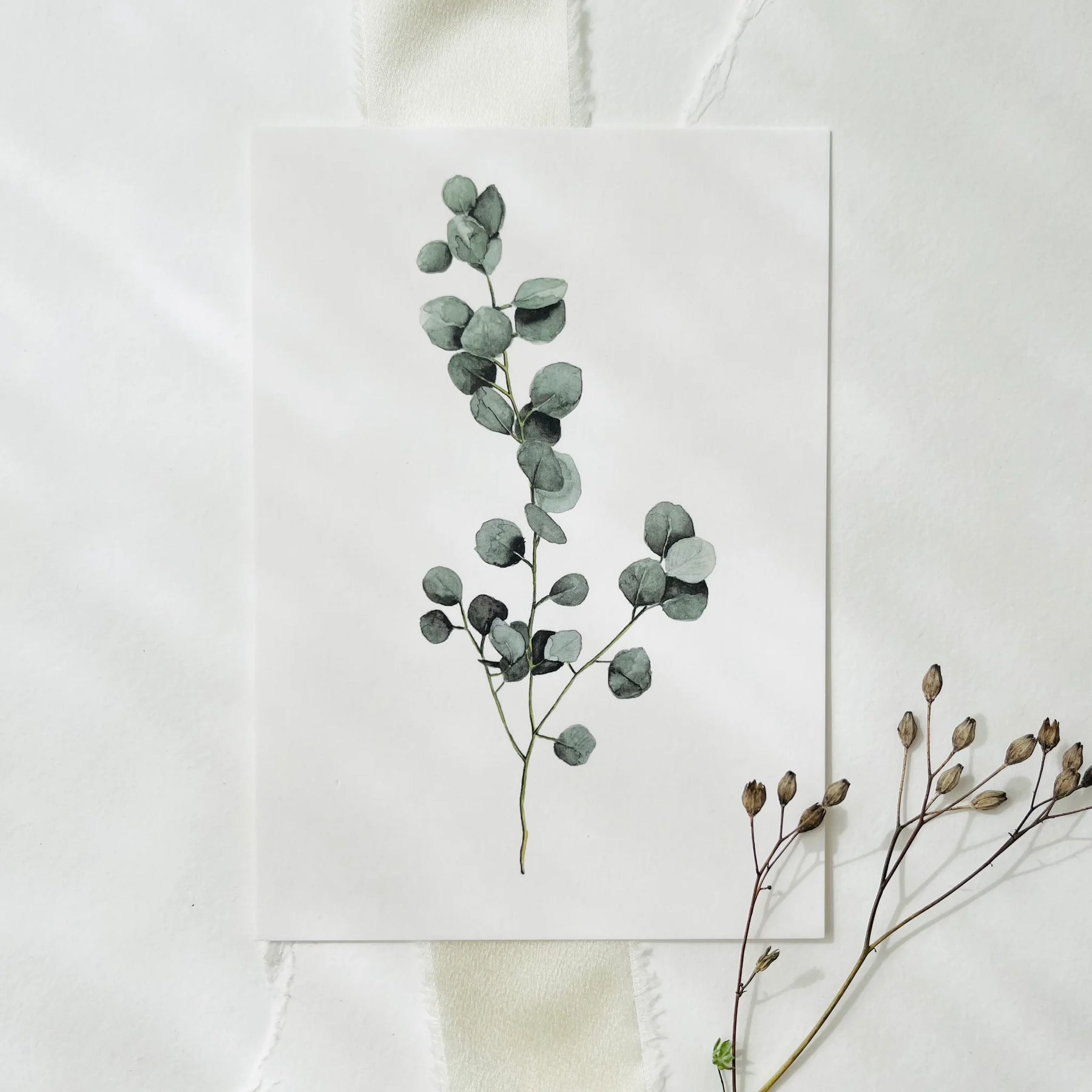 Postkarte - Eucalyptus