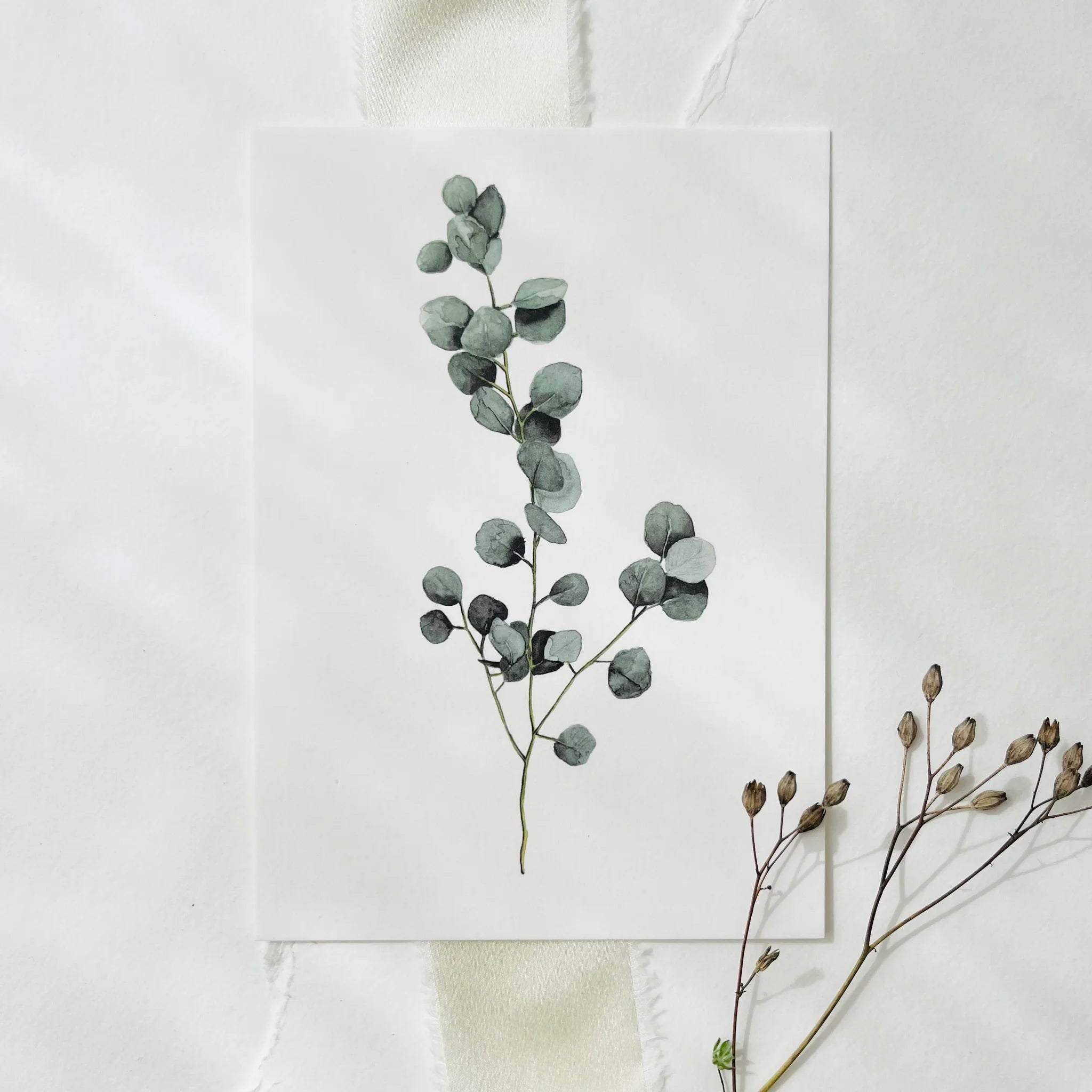 Postkarte - Eucalyptus