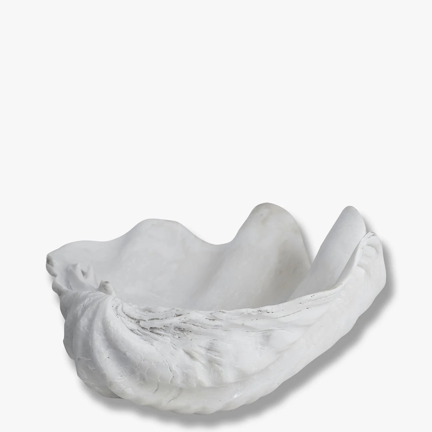 Muschel Shell klein
