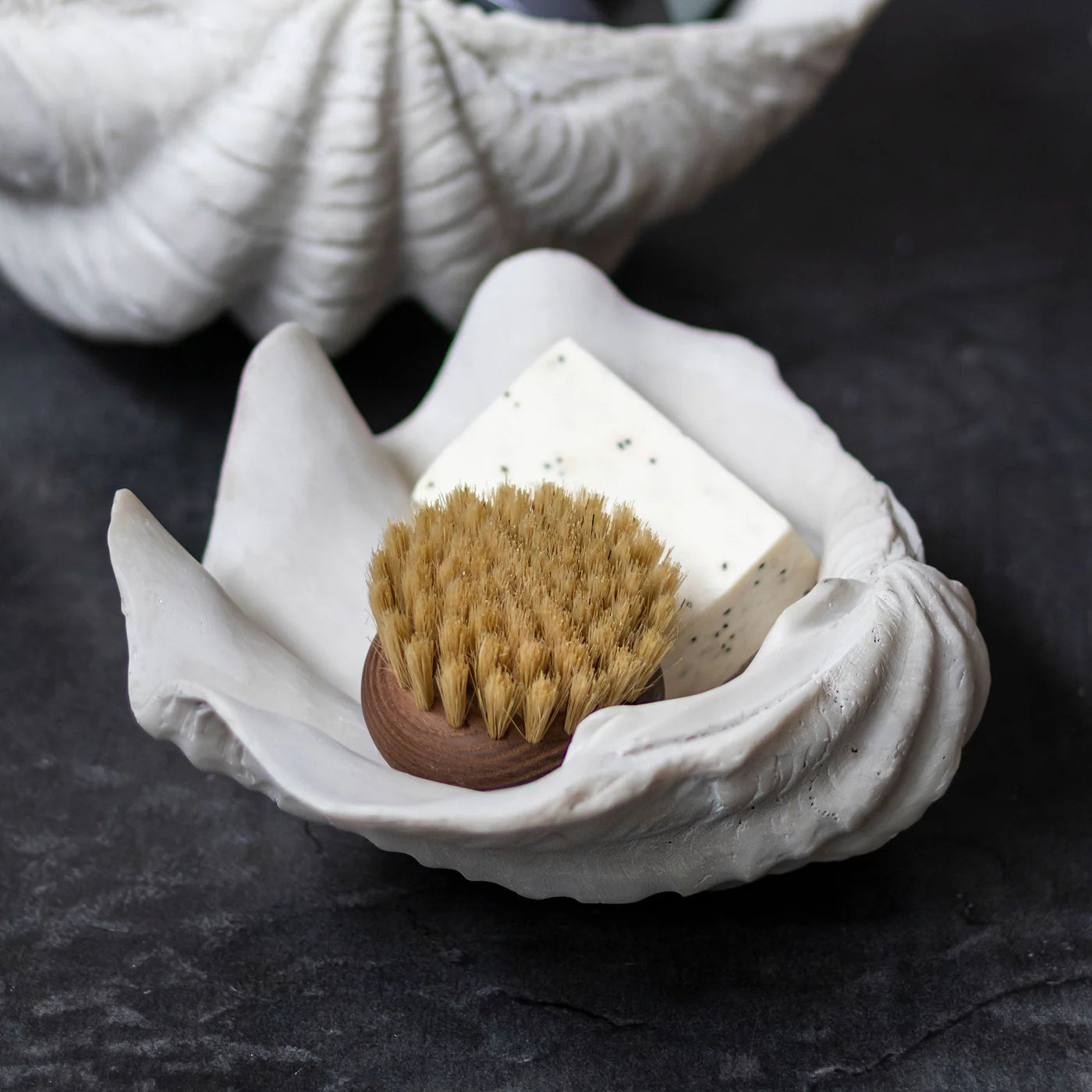 Muschel Shell klein