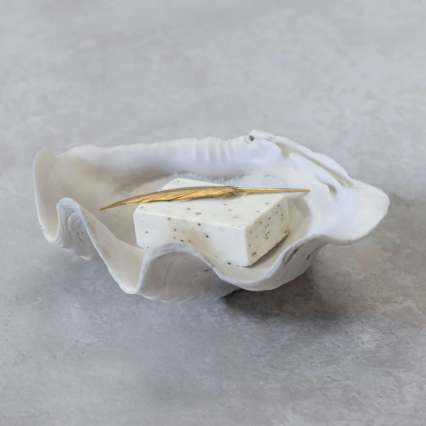 Muschel Shell klein