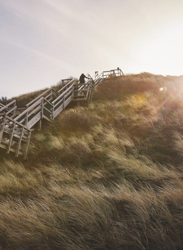 Zu Gast auf Sylt. Sehnsuchtsorte, Originalrezepte und Geheimtipps