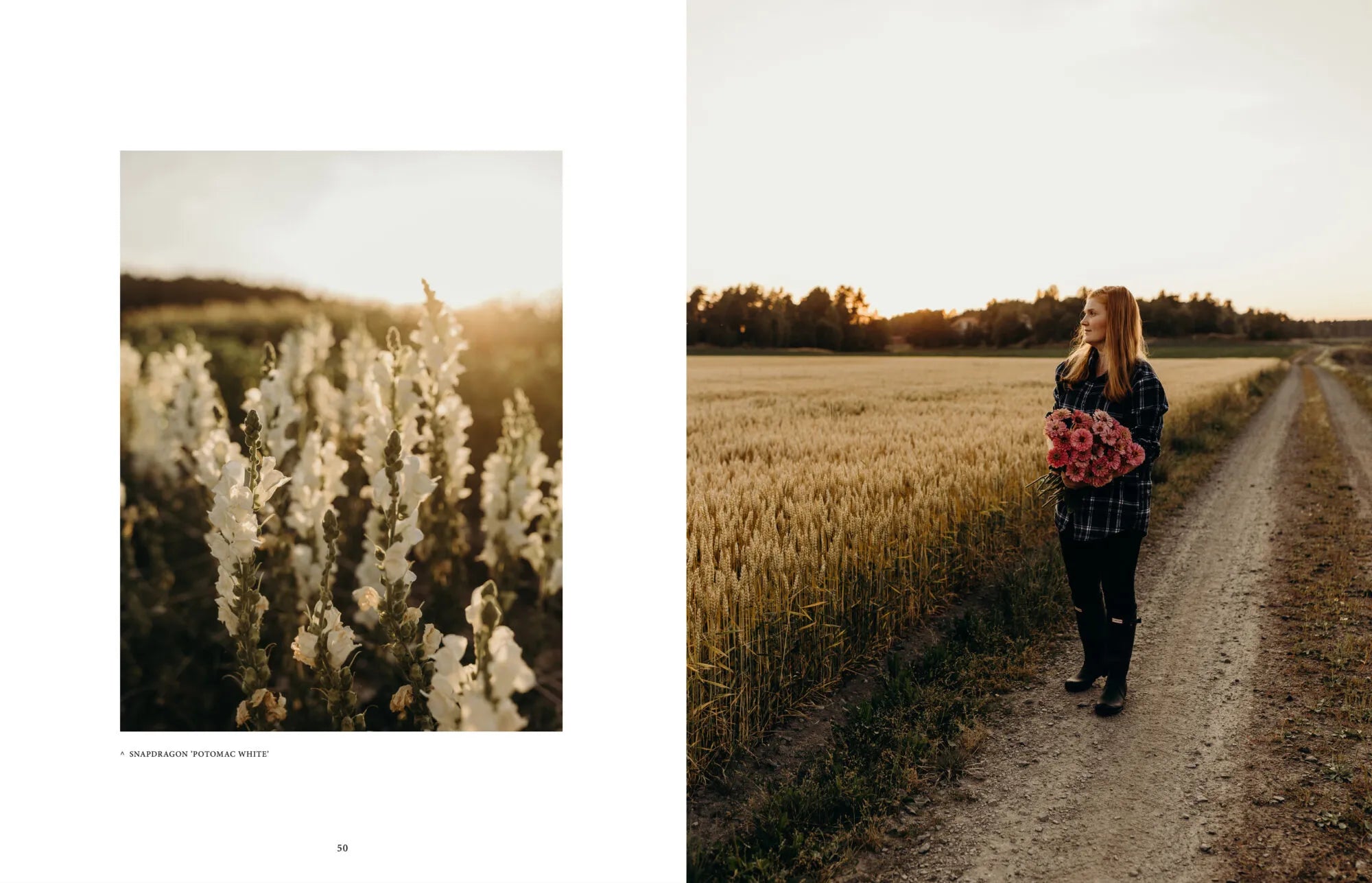 Buch - Where Flowers Bloom