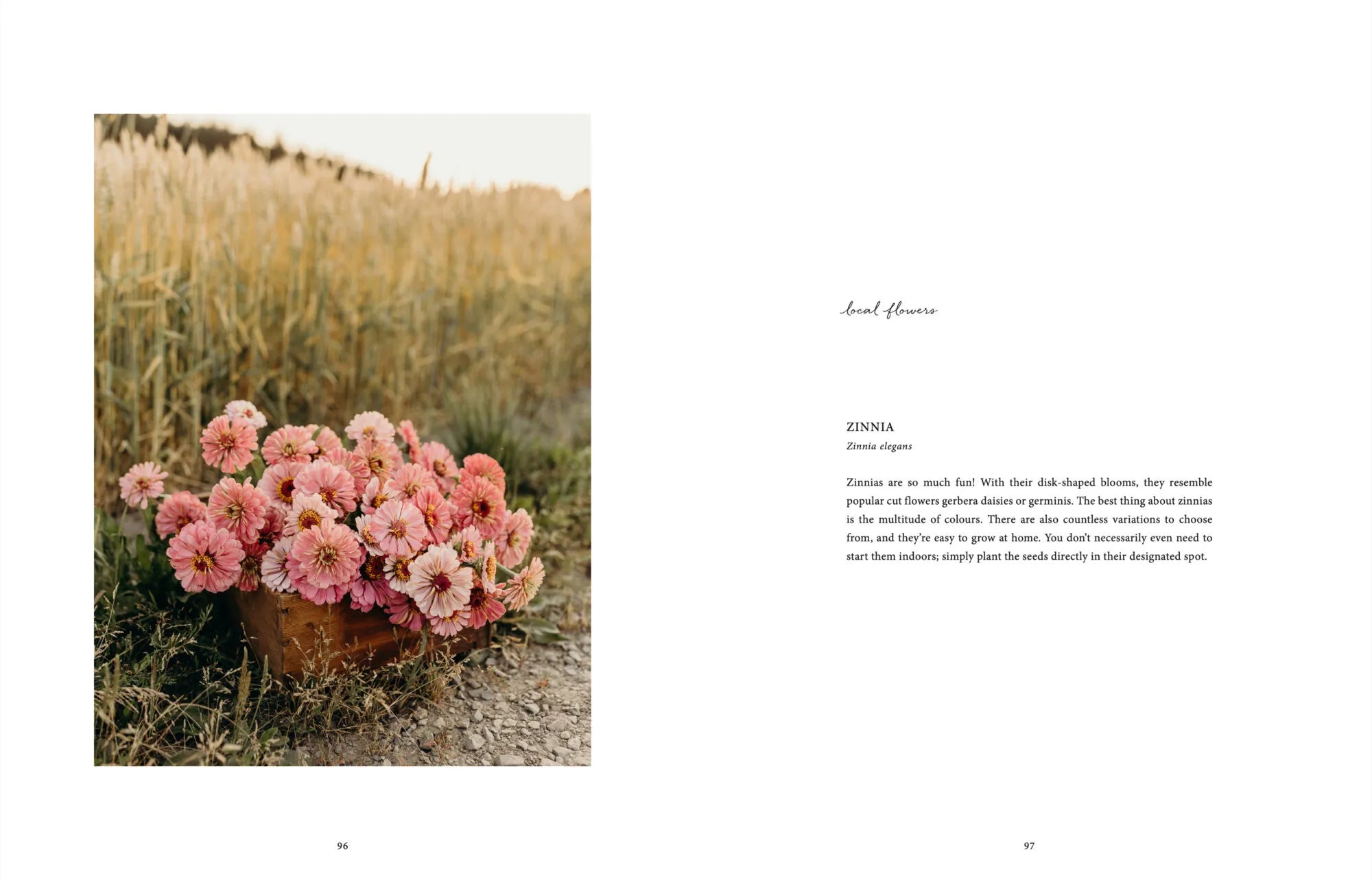 Buch - Where Flowers Bloom