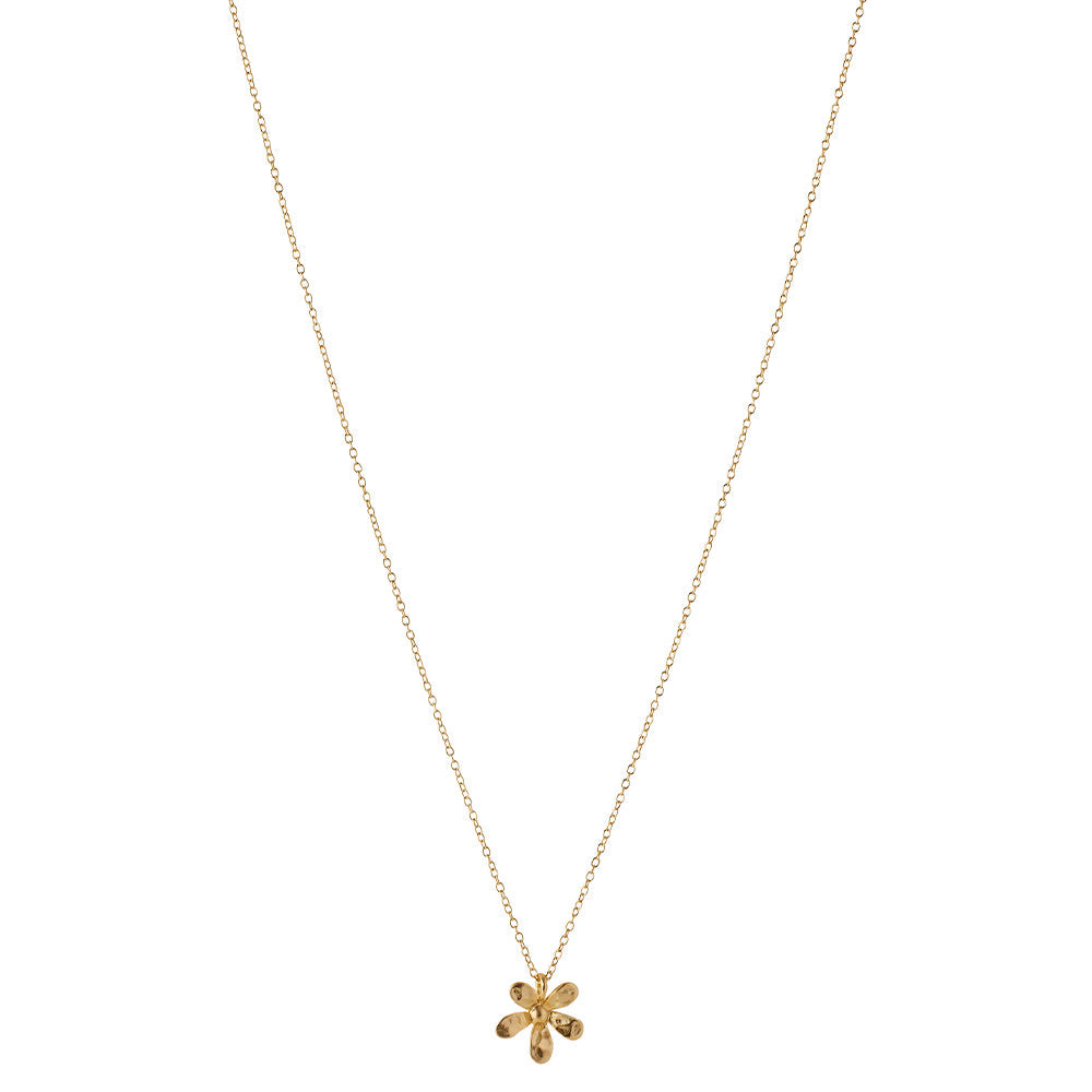 Wild Poppy Halskette mit goldener Beschichtung, Frontansicht, nachhaltiger Schmuck mit Mohnblüten-Design