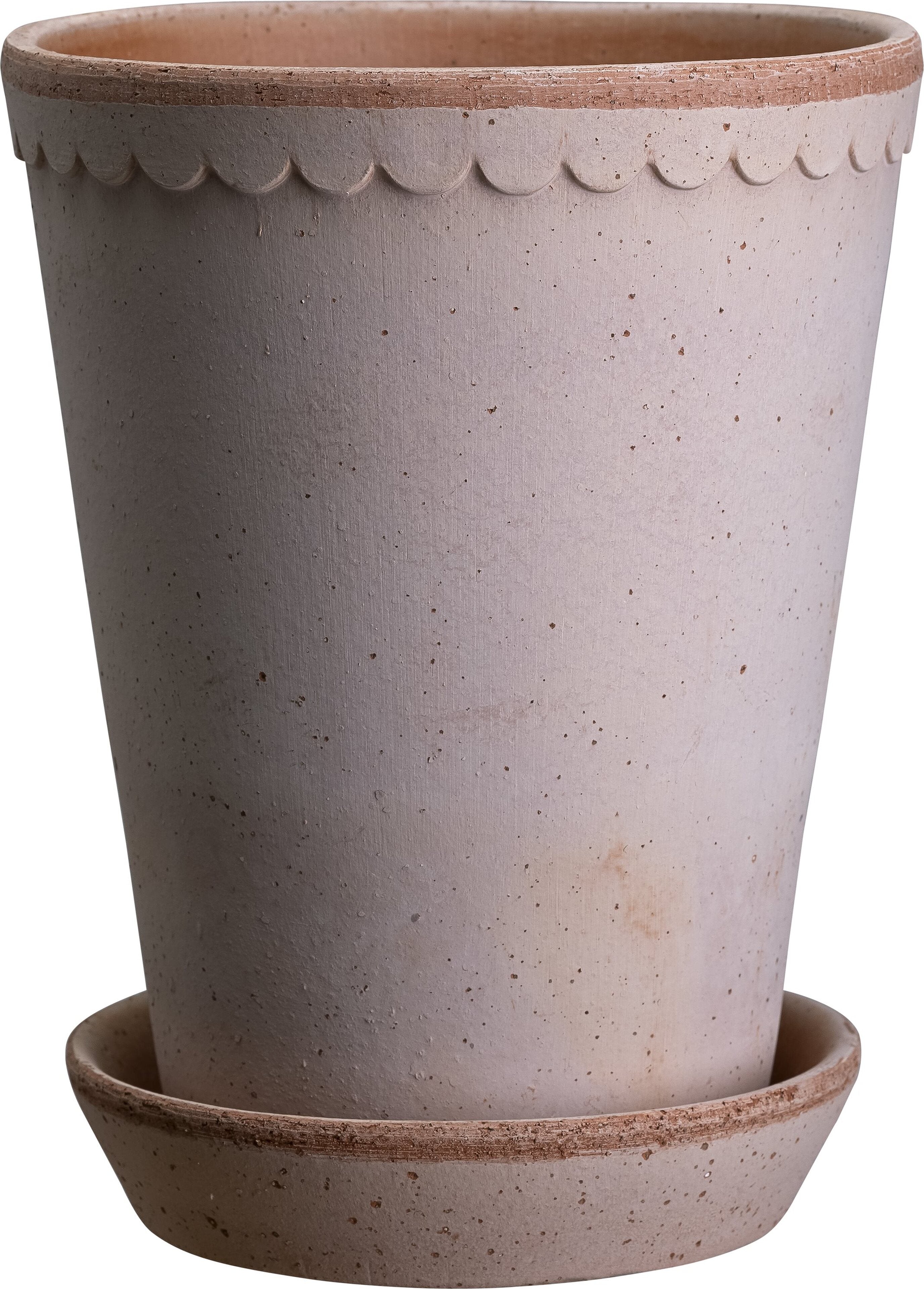 Rosentopf mit Untersetzer - Helena rosa