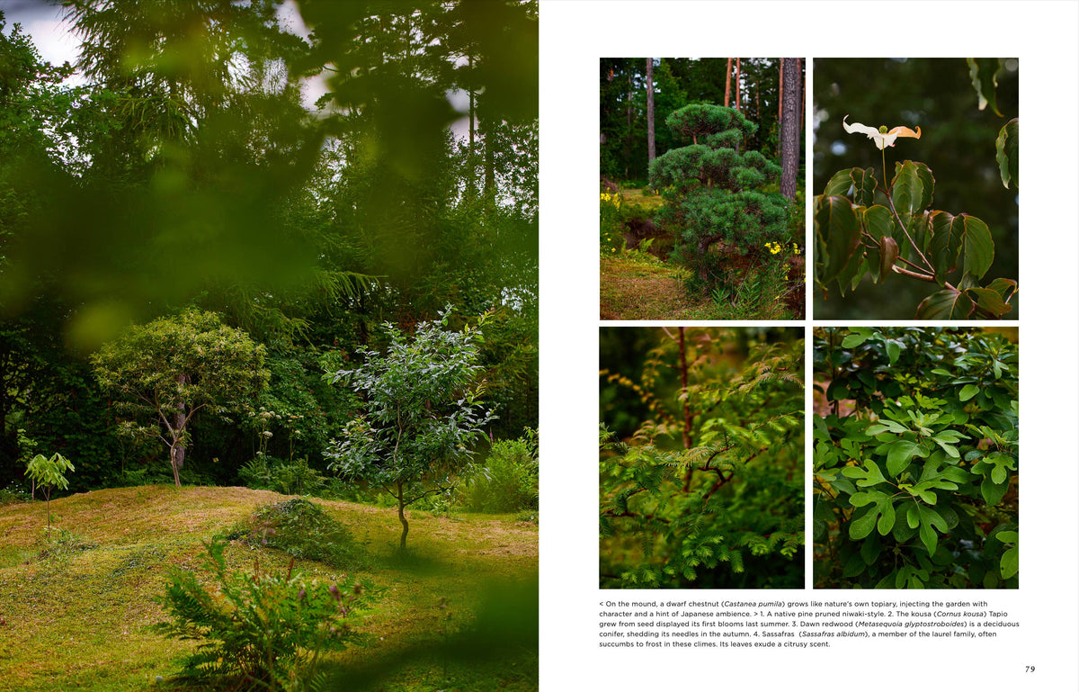 Island Gardens - Englisch
