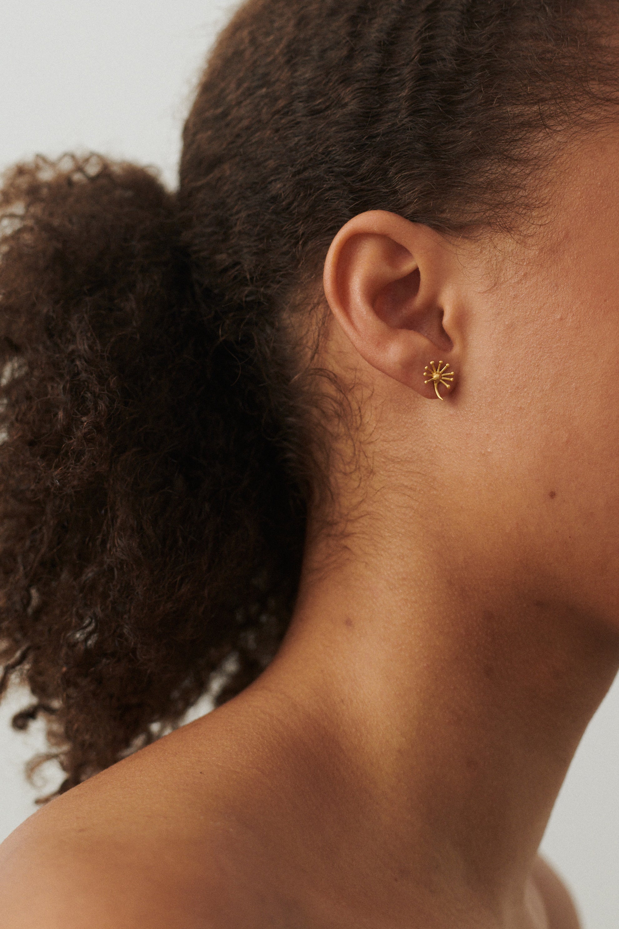 Ohrstecker Dandelion - gold 11 mm