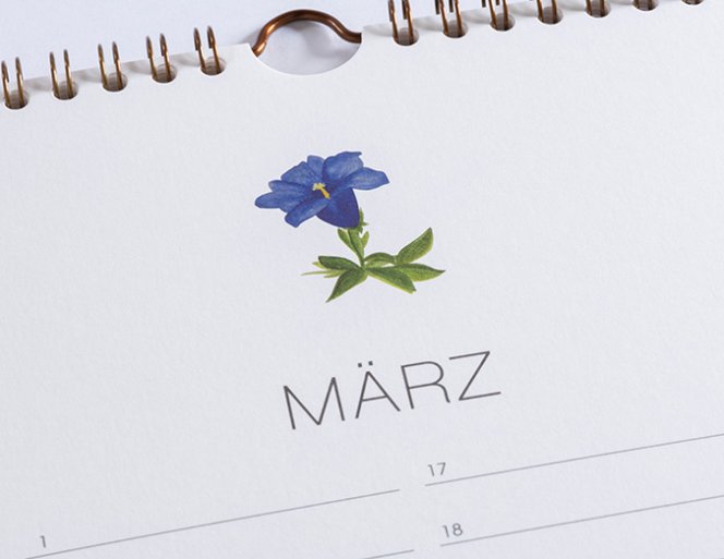 Geburtstagskalender - Botanicals