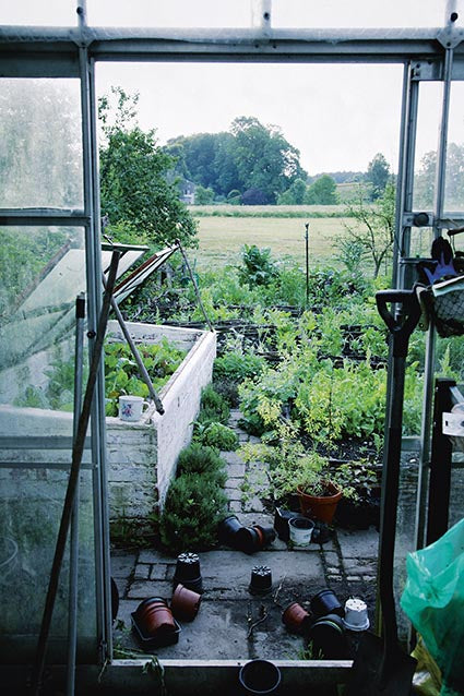 Das vegetarische Kochbuch