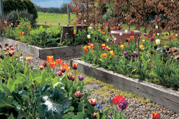 Gartengestaltung mit Hochbeet