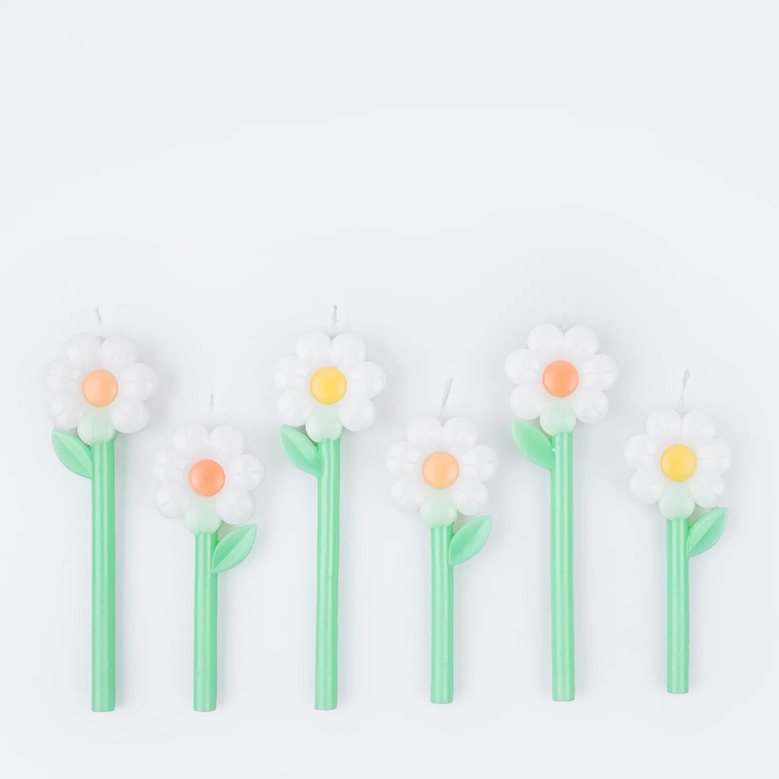 Kerzen Daisy