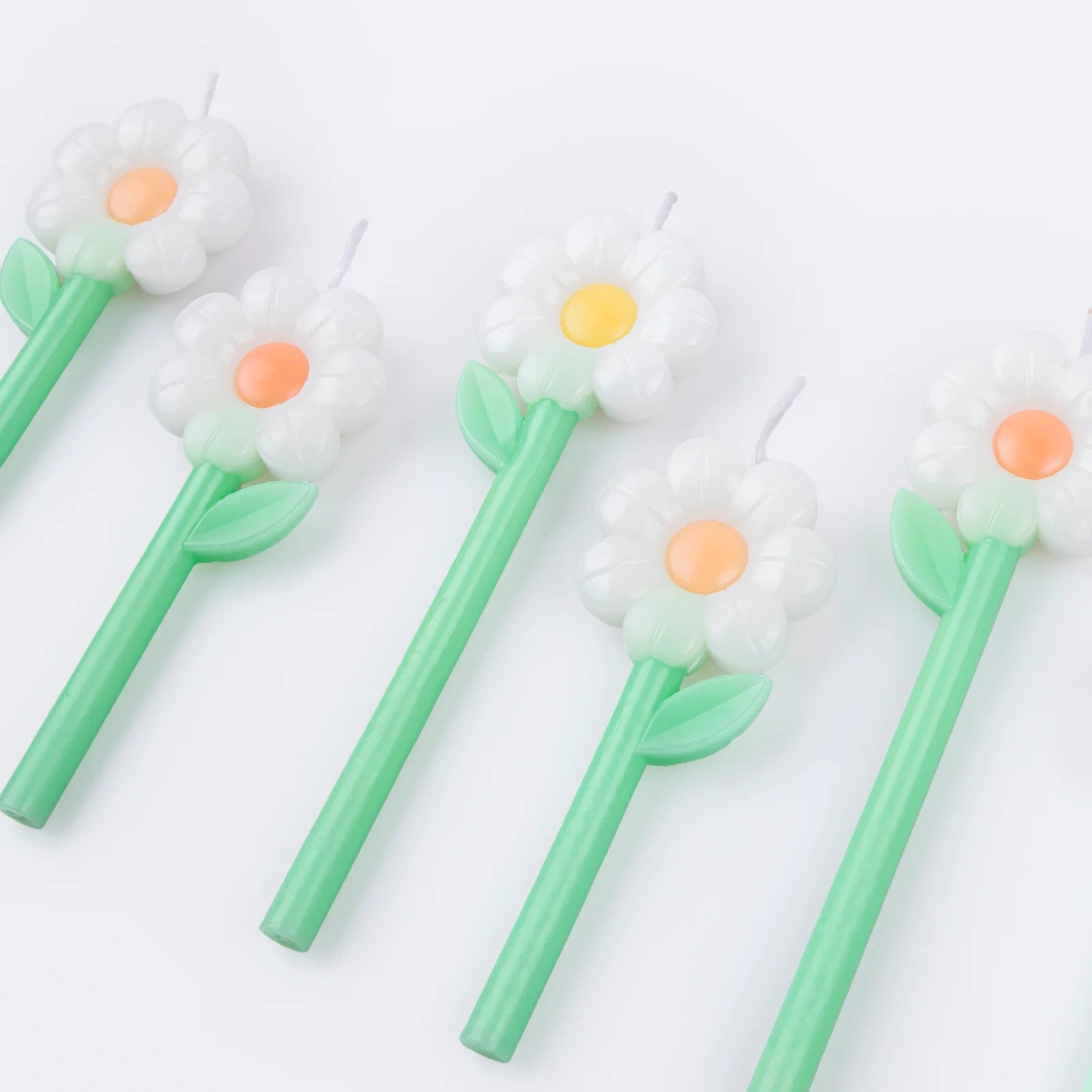 Kerzen Daisy