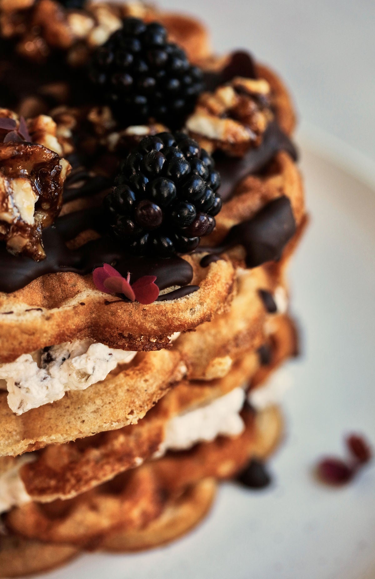 Bio-Waffel- & Pfannkuchenmischung