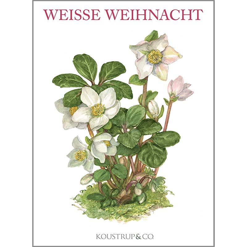Kartenmappe Weiße Weihnacht - 8 Karten mit Umschlägen (deutsch)
