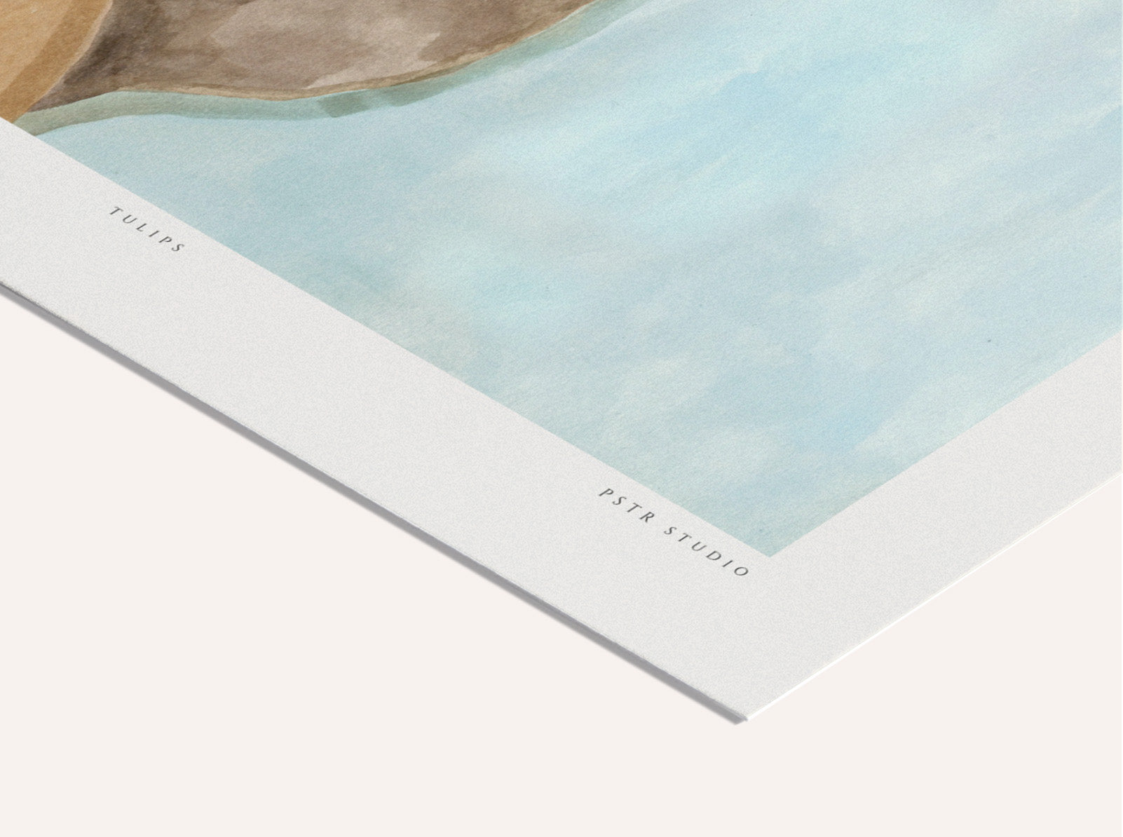 Druck - Tulips