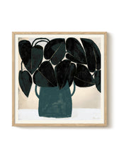 Druck - Plant II