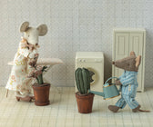 Blumentopf Kaktus Miniatur