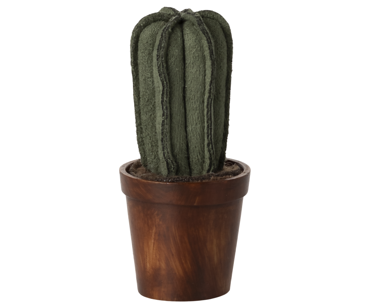 Blumentopf Kaktus Miniatur