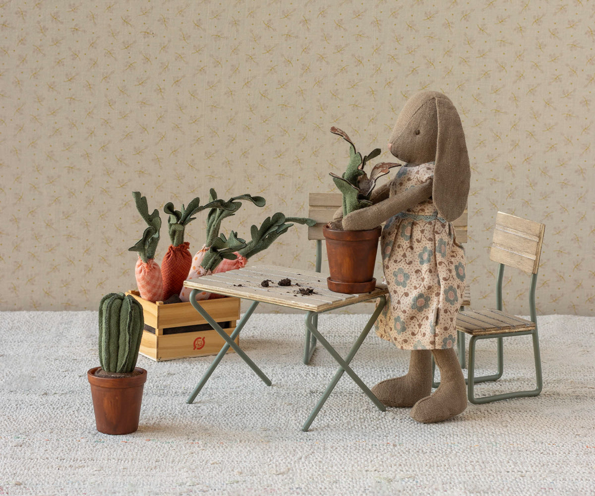 Blumentopf Kaktus Miniatur