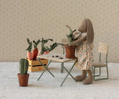 Blumentopf Kaktus Miniatur