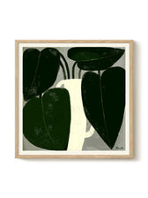 Druck - Plant IIII
