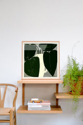 Druck - Plant IIII