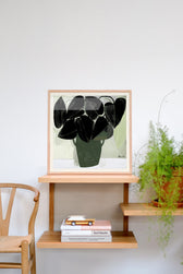 Druck - Plant V