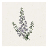 Blumensamen - Delphinium consolida "Fancy Smokey Eyes" (Rittersporn)