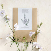 Blumensamen - Delphinium consolida "Fancy Smokey Eyes" (Rittersporn)