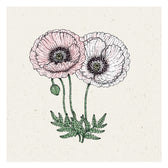 Blumensamen - Papaver rhoeas "Mother Of Pearl" (Klatschmohn)