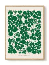 Druck - Monstera