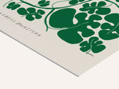 Druck - Monstera