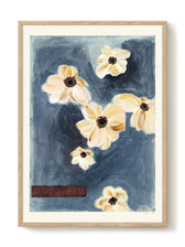 Druck - Anemones