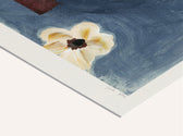 Druck - Anemones