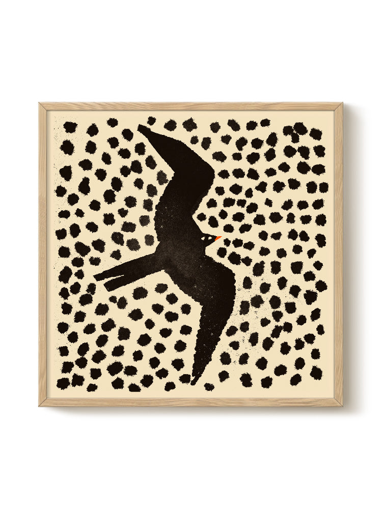 Druck - Swalow in November Rain