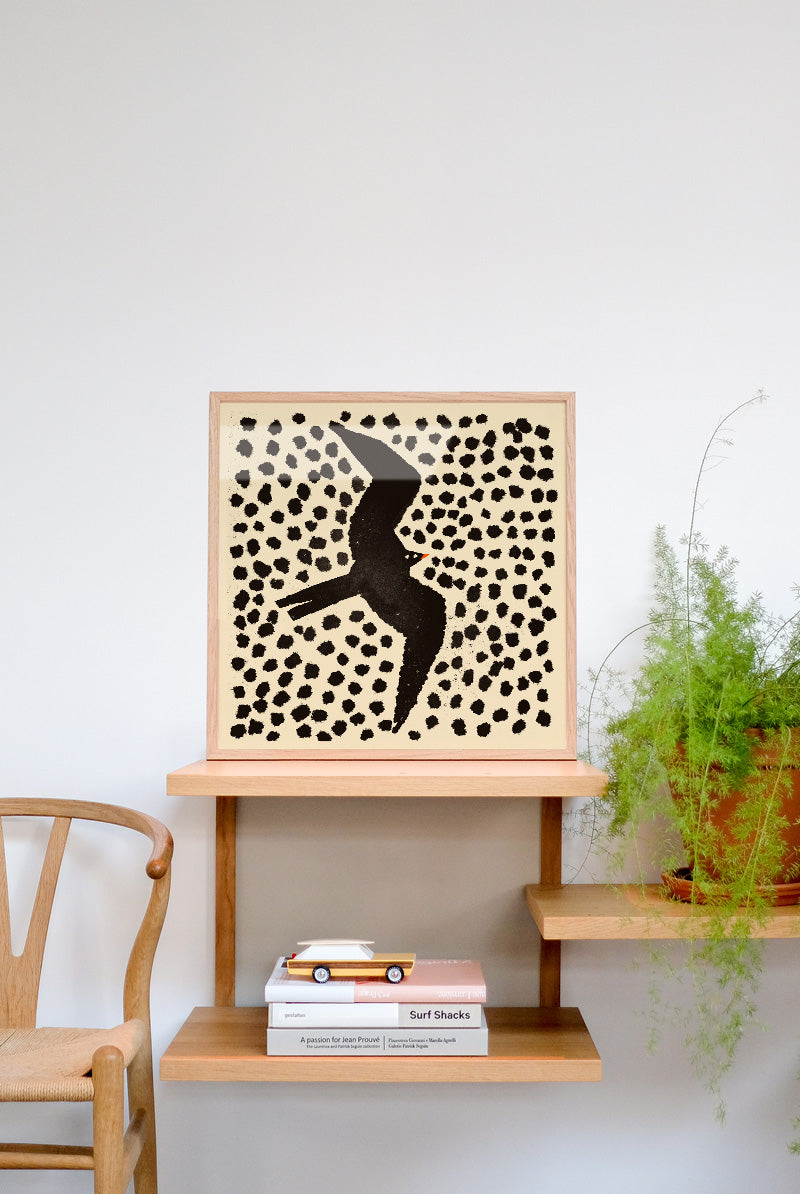 Druck - Swalow in November Rain