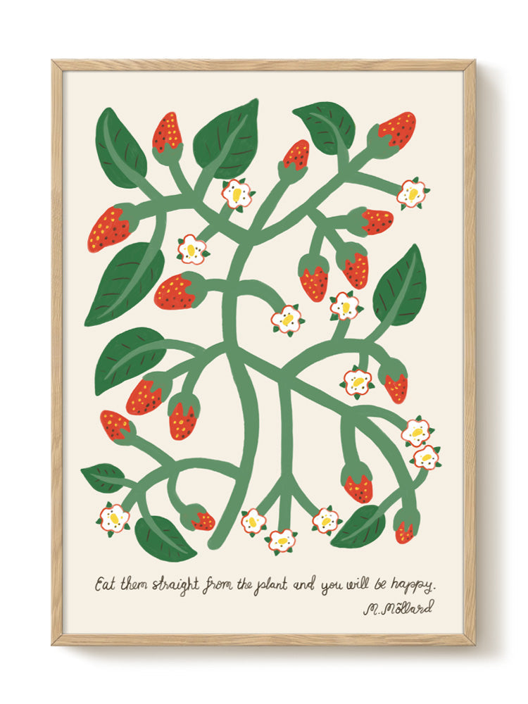 Druck - Wild strawberries